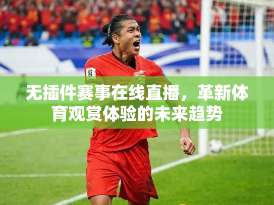 无插件赛事在线直播，革新体育观赏体验的未来趋势