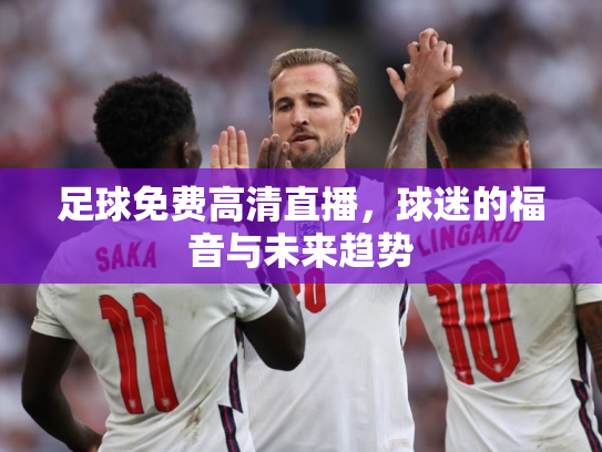 足球免费高清直播，球迷的福音与未来趋势