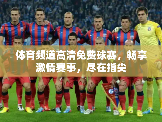 体育频道高清免费球赛，畅享激情赛事，尽在指尖
