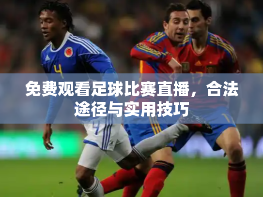 免费观看足球比赛直播，合法途径与实用技巧