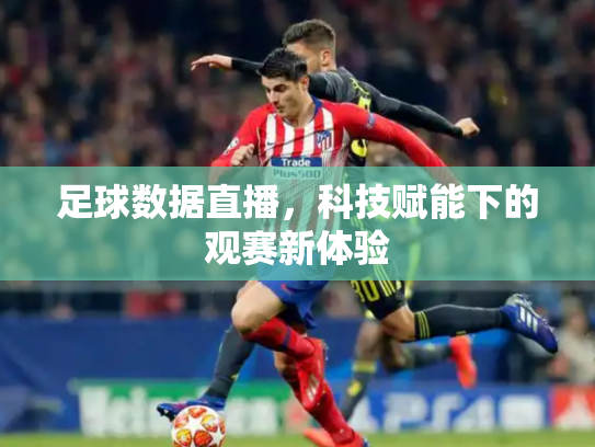 足球数据直播，科技赋能下的观赛新体验