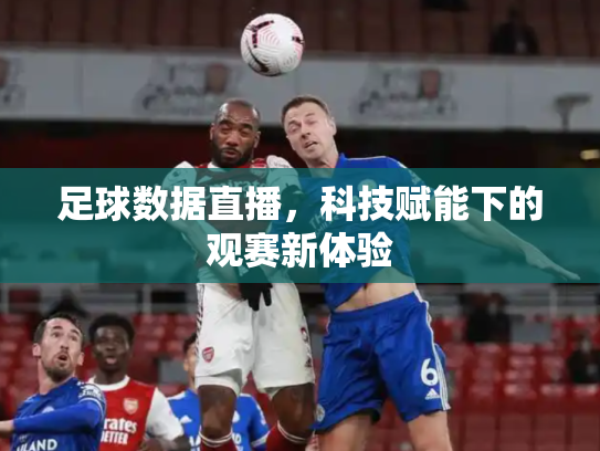 足球数据直播，科技赋能下的观赛新体验