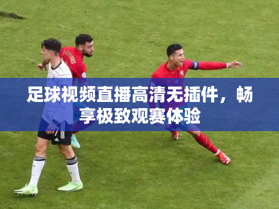 足球视频直播高清无插件，畅享极致观赛体验