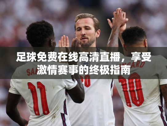 足球免费在线高清直播，享受激情赛事的终极指南