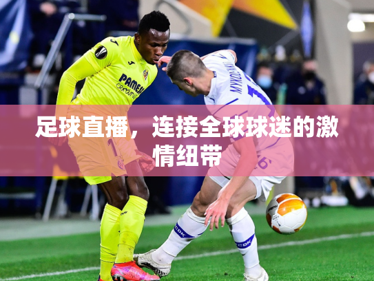 足球直播，连接全球球迷的激情纽带
