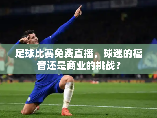 足球比赛免费直播，球迷的福音还是商业的挑战？
