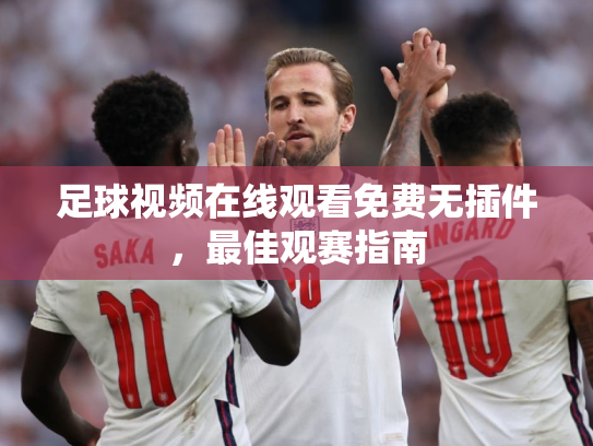 足球视频在线观看免费无插件，最佳观赛指南