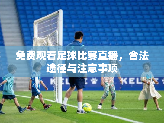 免费观看足球比赛直播，合法途径与注意事项
