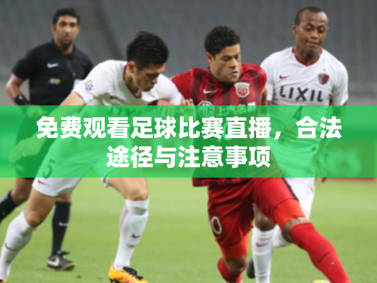 免费观看足球比赛直播，合法途径与注意事项