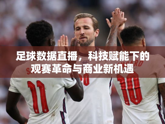 足球数据直播，科技赋能下的观赛革命与商业新机遇