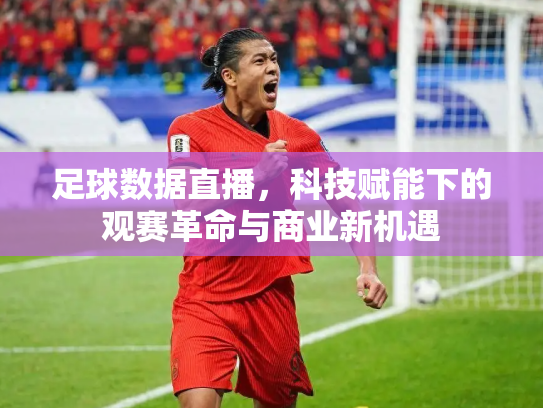 足球数据直播，科技赋能下的观赛革命与商业新机遇