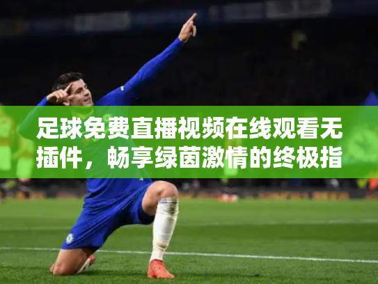 足球免费直播视频在线观看无插件，畅享绿茵激情的终极指南