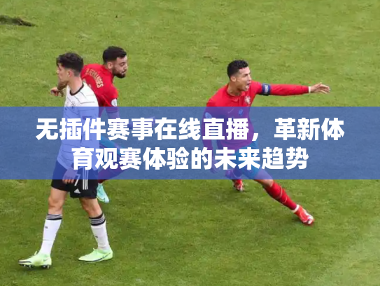 无插件赛事在线直播，革新体育观赛体验的未来趋势