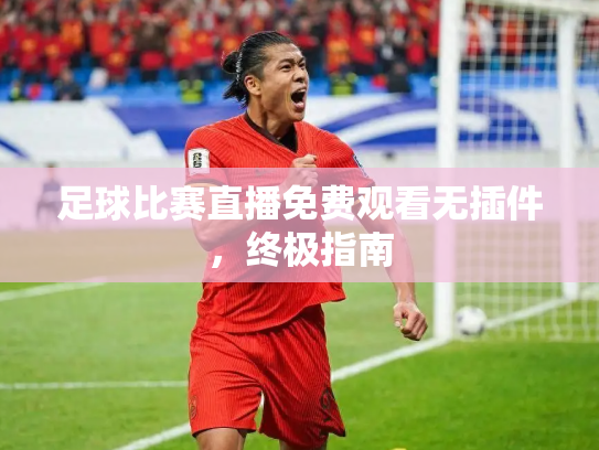 足球比赛直播免费观看无插件，终极指南