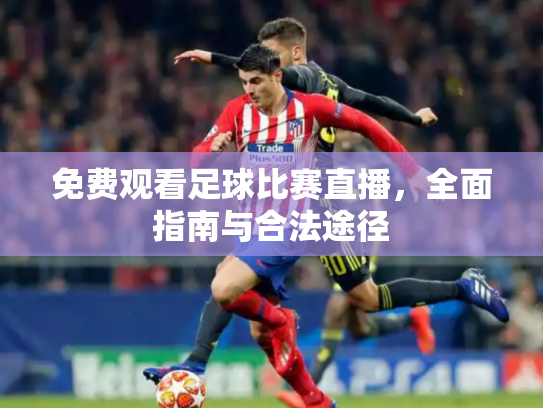 免费观看足球比赛直播，全面指南与合法途径