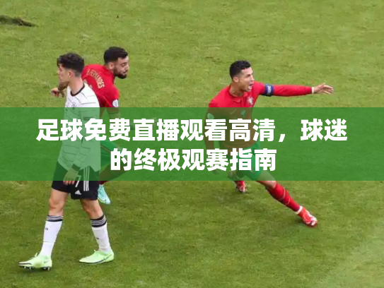 足球免费直播观看高清，球迷的终极观赛指南