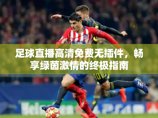 足球直播高清免费无插件，畅享绿茵激情的终极指南