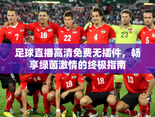 足球直播高清免费无插件，畅享绿茵激情的终极指南