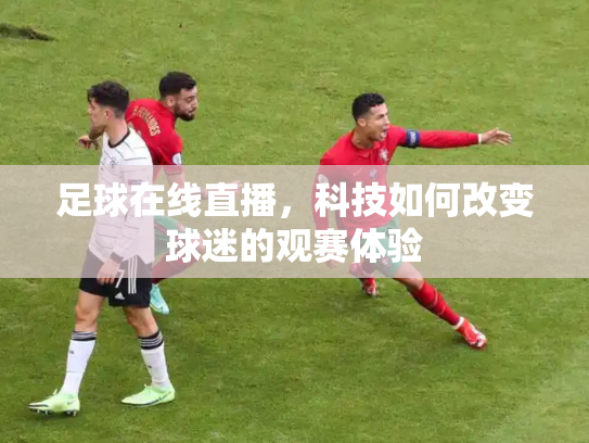 足球在线直播，科技如何改变球迷的观赛体验