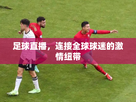 足球直播，连接全球球迷的激情纽带