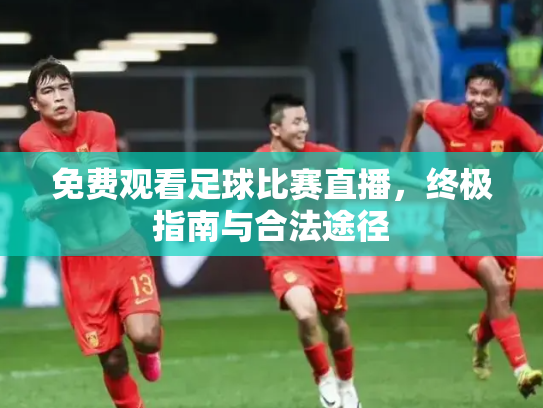 免费观看足球比赛直播，终极指南与合法途径