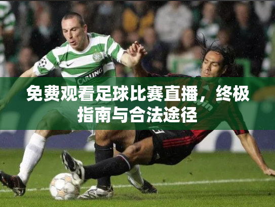 免费观看足球比赛直播，终极指南与合法途径