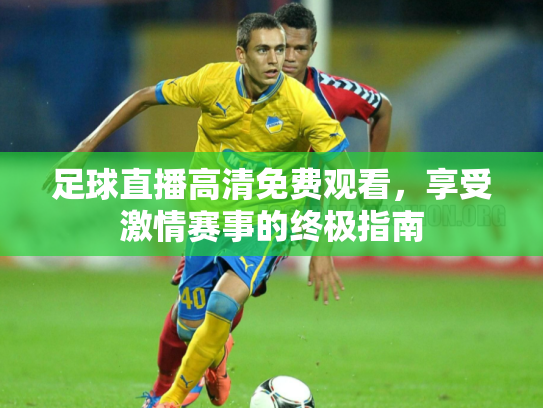 足球直播高清免费观看，享受激情赛事的终极指南
