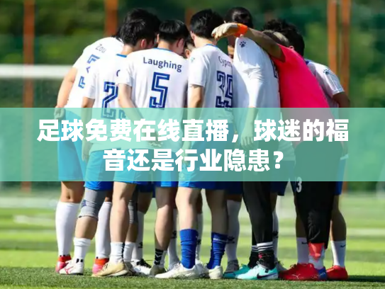 足球免费在线直播，球迷的福音还是行业隐患？