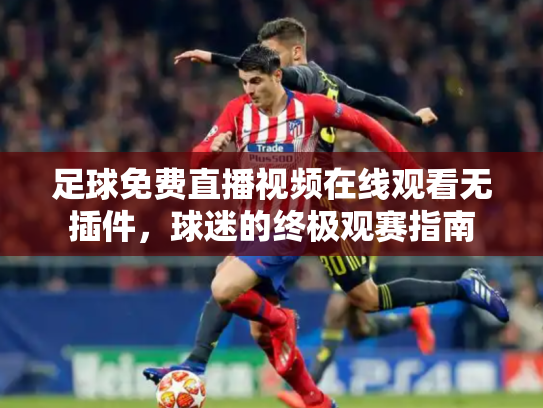 足球免费直播视频在线观看无插件，球迷的终极观赛指南