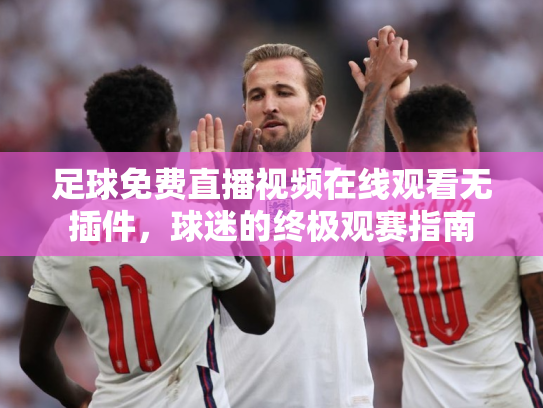 足球免费直播视频在线观看无插件，球迷的终极观赛指南