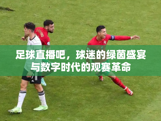 足球直播吧，球迷的绿茵盛宴与数字时代的观赛革命