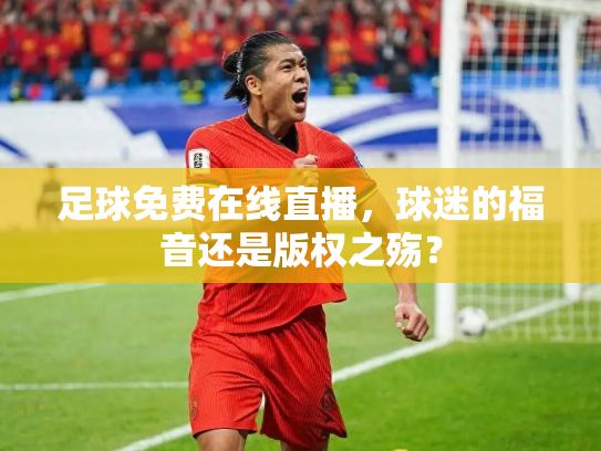 足球免费在线直播，球迷的福音还是版权之殇？