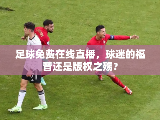 足球免费在线直播，球迷的福音还是版权之殇？