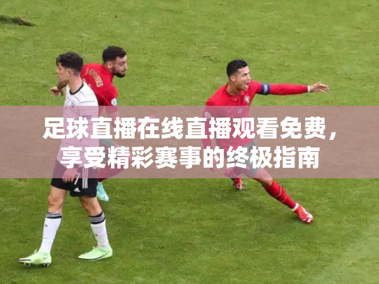 足球直播在线直播观看免费，享受精彩赛事的终极指南