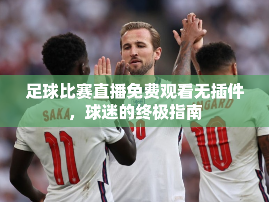 足球比赛直播免费观看无插件，球迷的终极指南