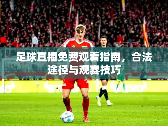 足球直播免费观看指南，合法途径与观赛技巧