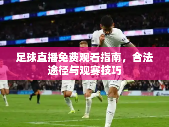 足球直播免费观看指南，合法途径与观赛技巧
