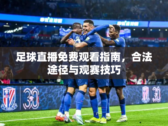 足球直播免费观看指南，合法途径与观赛技巧