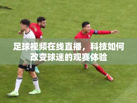足球视频在线直播，科技如何改变球迷的观赛体验