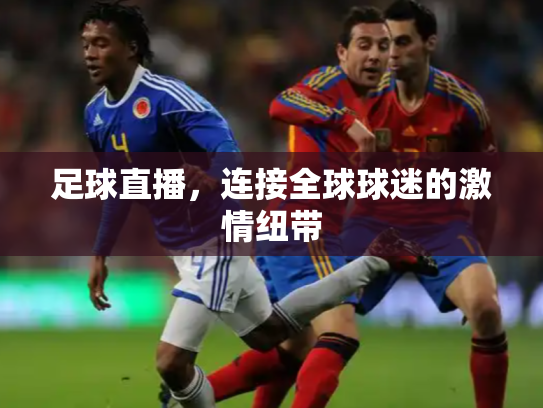 足球直播，连接全球球迷的激情纽带