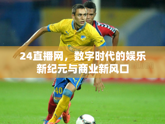 24直播网，数字时代的娱乐新纪元与商业新风口