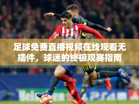 足球免费直播视频在线观看无插件，球迷的终极观赛指南