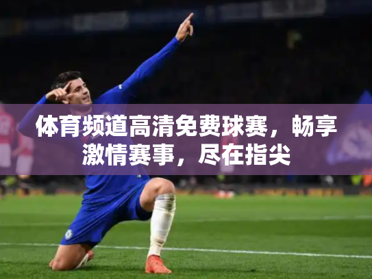 体育频道高清免费球赛，畅享激情赛事，尽在指尖