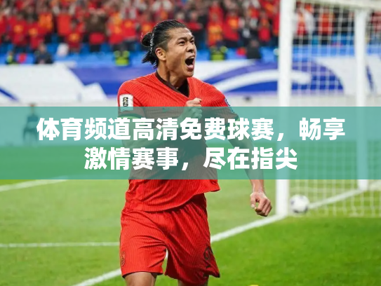 体育频道高清免费球赛，畅享激情赛事，尽在指尖