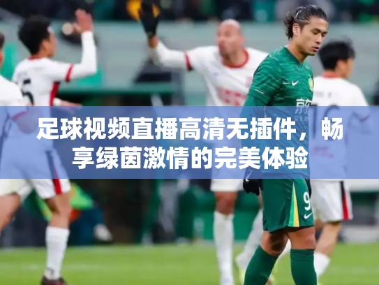 足球视频直播高清无插件，畅享绿茵激情的完美体验