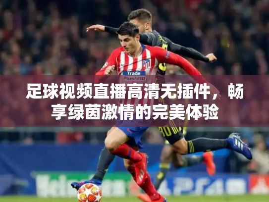 足球视频直播高清无插件，畅享绿茵激情的完美体验