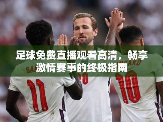 足球免费直播观看高清，畅享激情赛事的终极指南