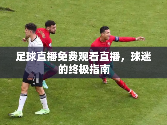 足球直播免费观看直播，球迷的终极指南