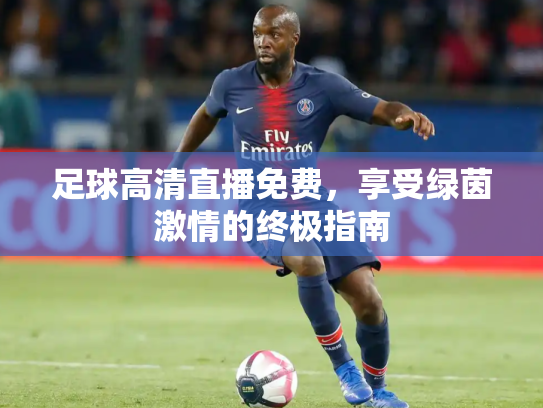 足球高清直播免费，享受绿茵激情的终极指南
