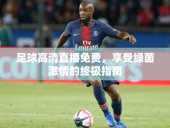 足球高清直播免费，享受绿茵激情的终极指南